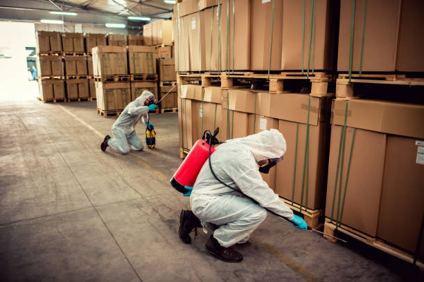 Best Pest Inspection Near Me  in Lovelock, NV